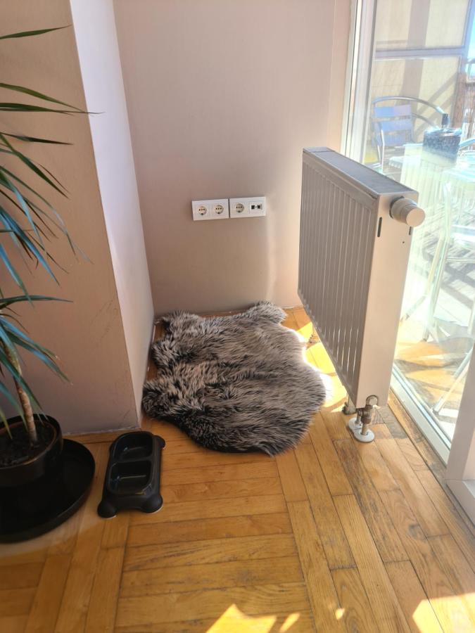 Apartman *Joy* Osijek Exteriör bild